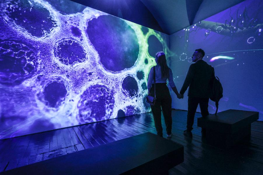 Экскурсия по выставке «Человек-жизнь-вселенная. Контраст сопоставлений» для посетителей серебряного возраста