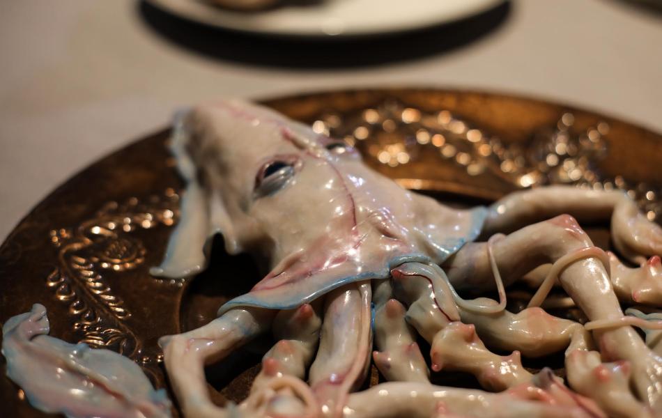 Экскурсия по выставке «Человек-жизнь-вселенная. Контраст сопоставлений»